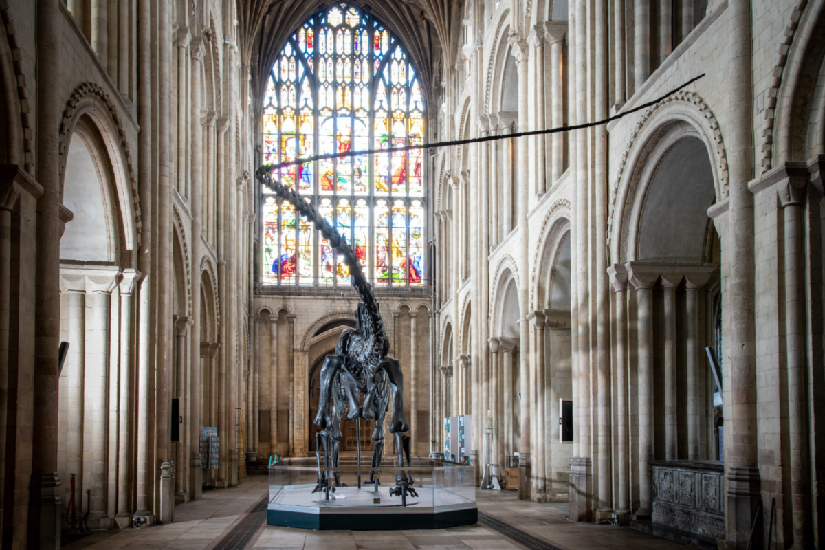 UK Norwich Cathedral Dippy3