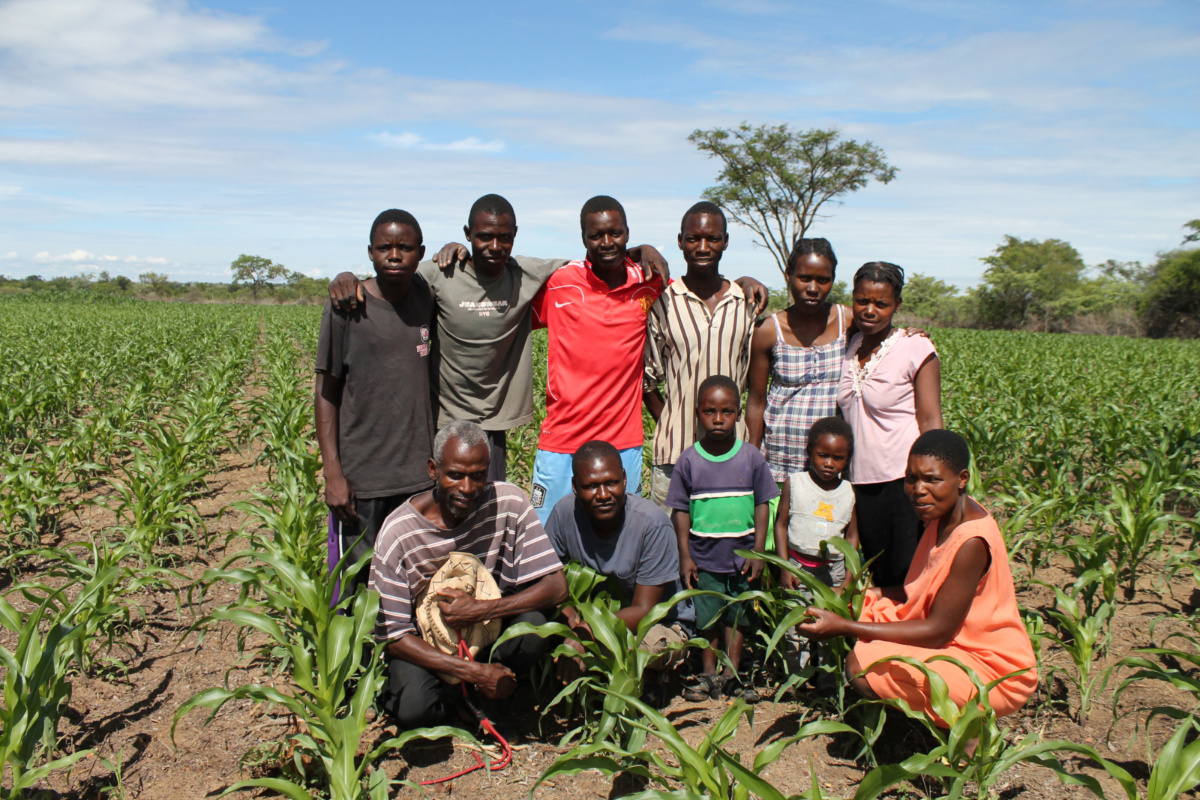 Zimbabwe Foundations for Farming2