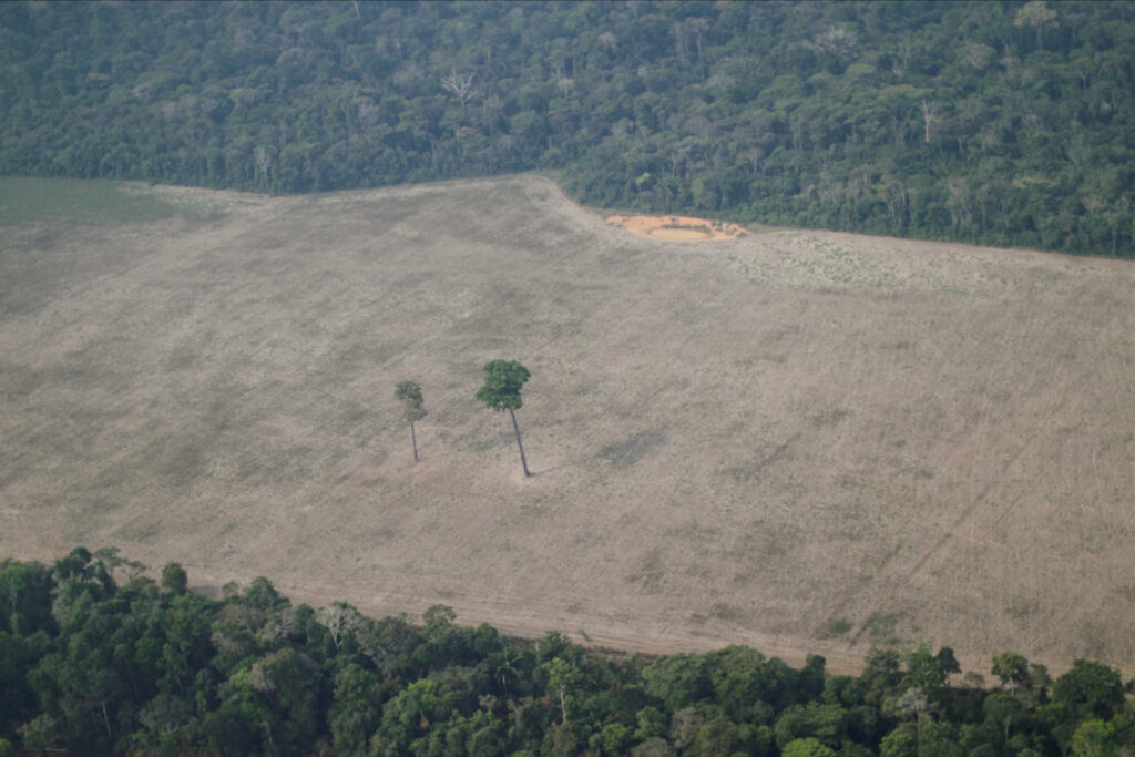 Brazil Rondonia State Amazon deforestation