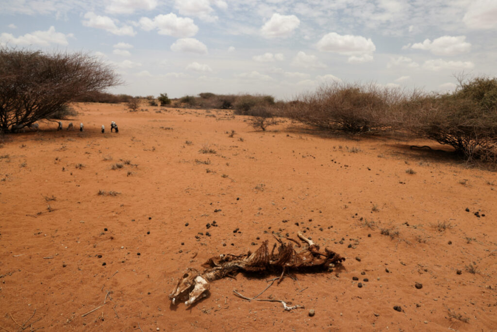 Kenya Marsabit county drought