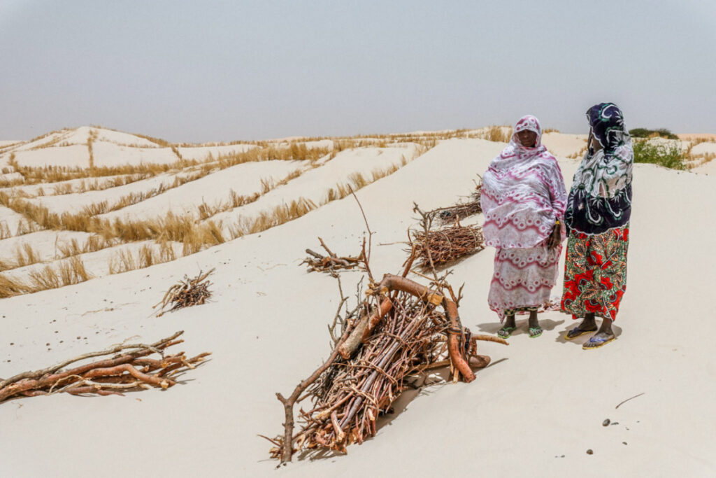 Mali drying climate1
