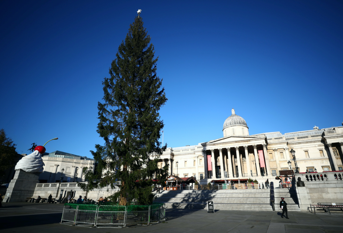 London Trafalgar Square Christmas tree