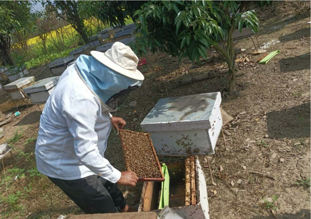 Nepal beekeepers1