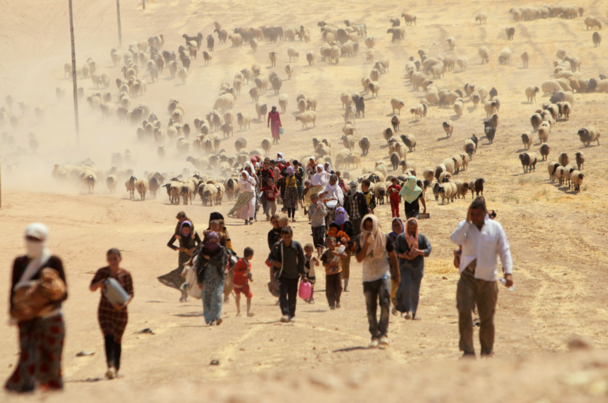Displaced Yazidis1