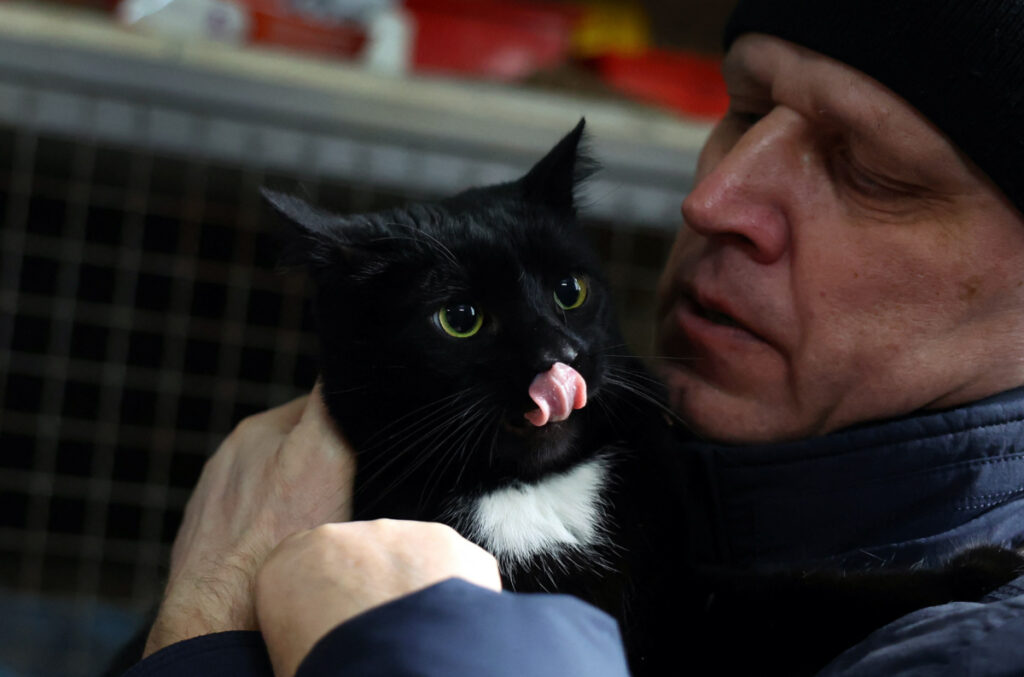 Ukraine pet rescue1