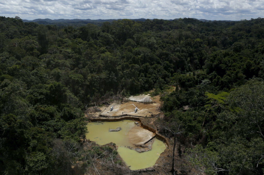 Brazil Roraima state illegal gold mining