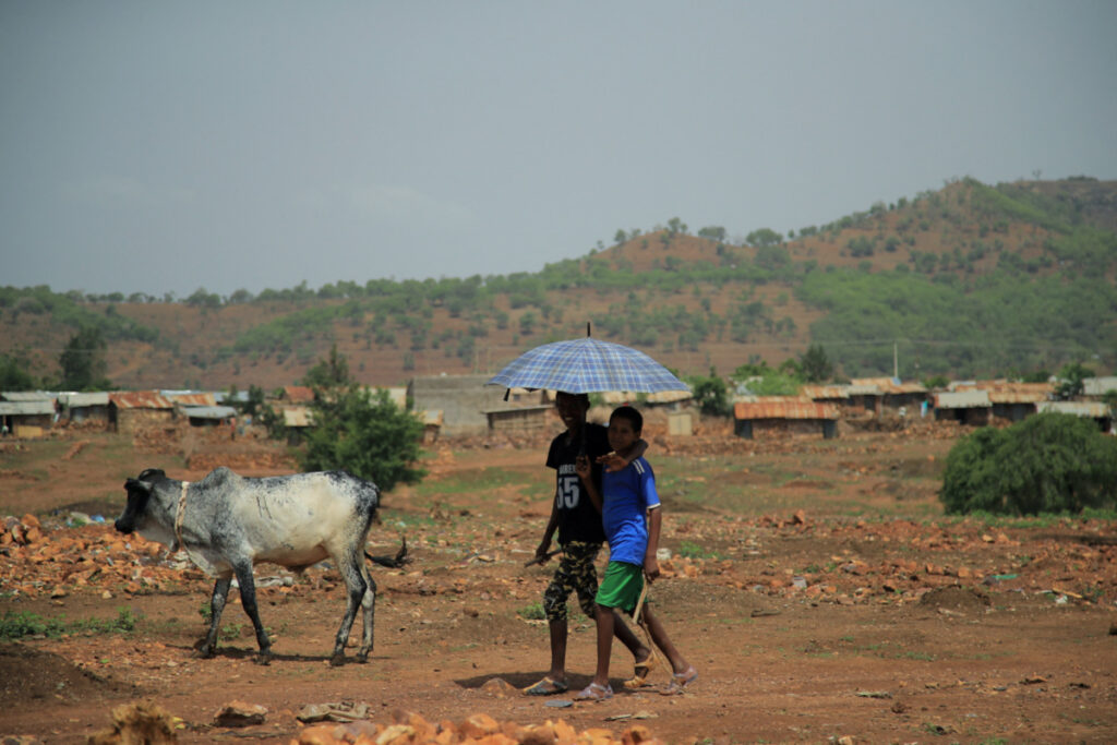Ethiopia Tigray Adi Harush Refugee camp in Mai Tsberi town