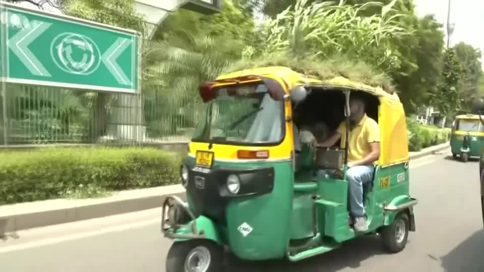 India autorickshaw with a rooftop garden