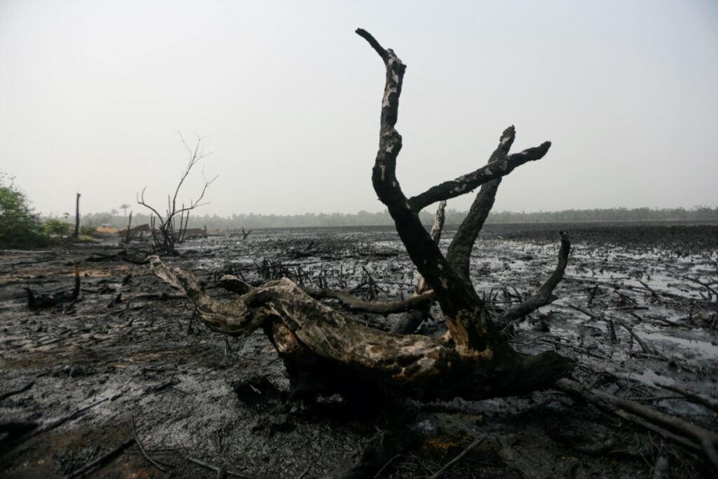 Nigeria Niger delta pollution