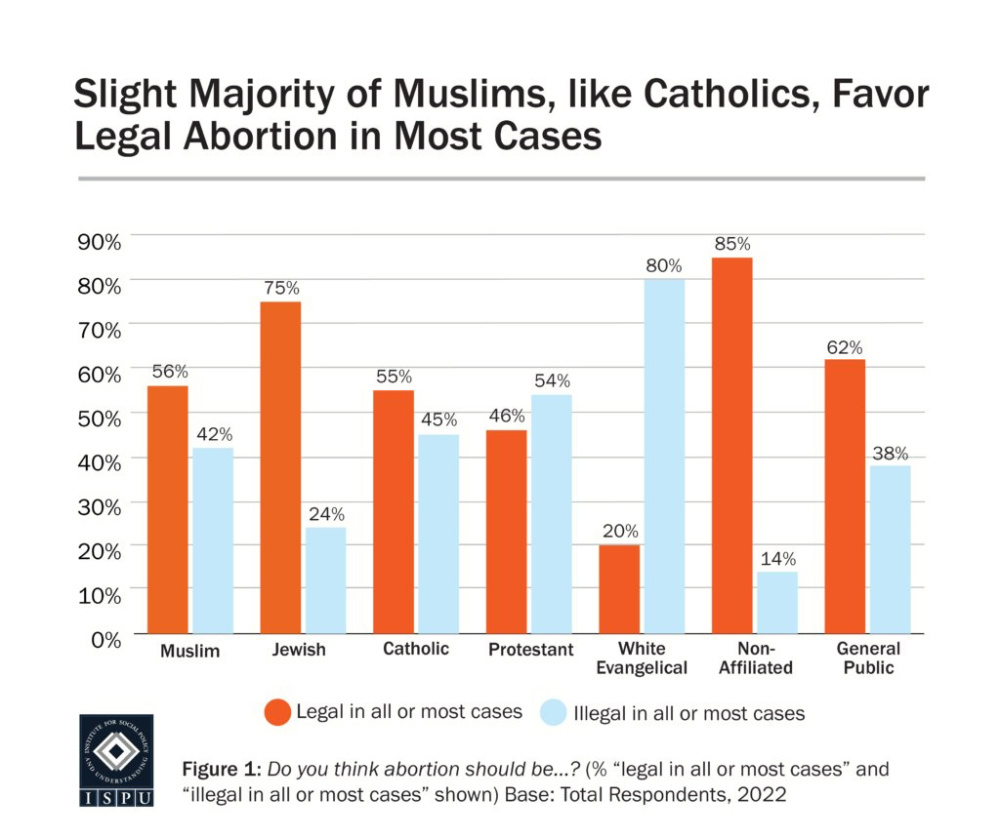 US ISPU Abortion Graphic1