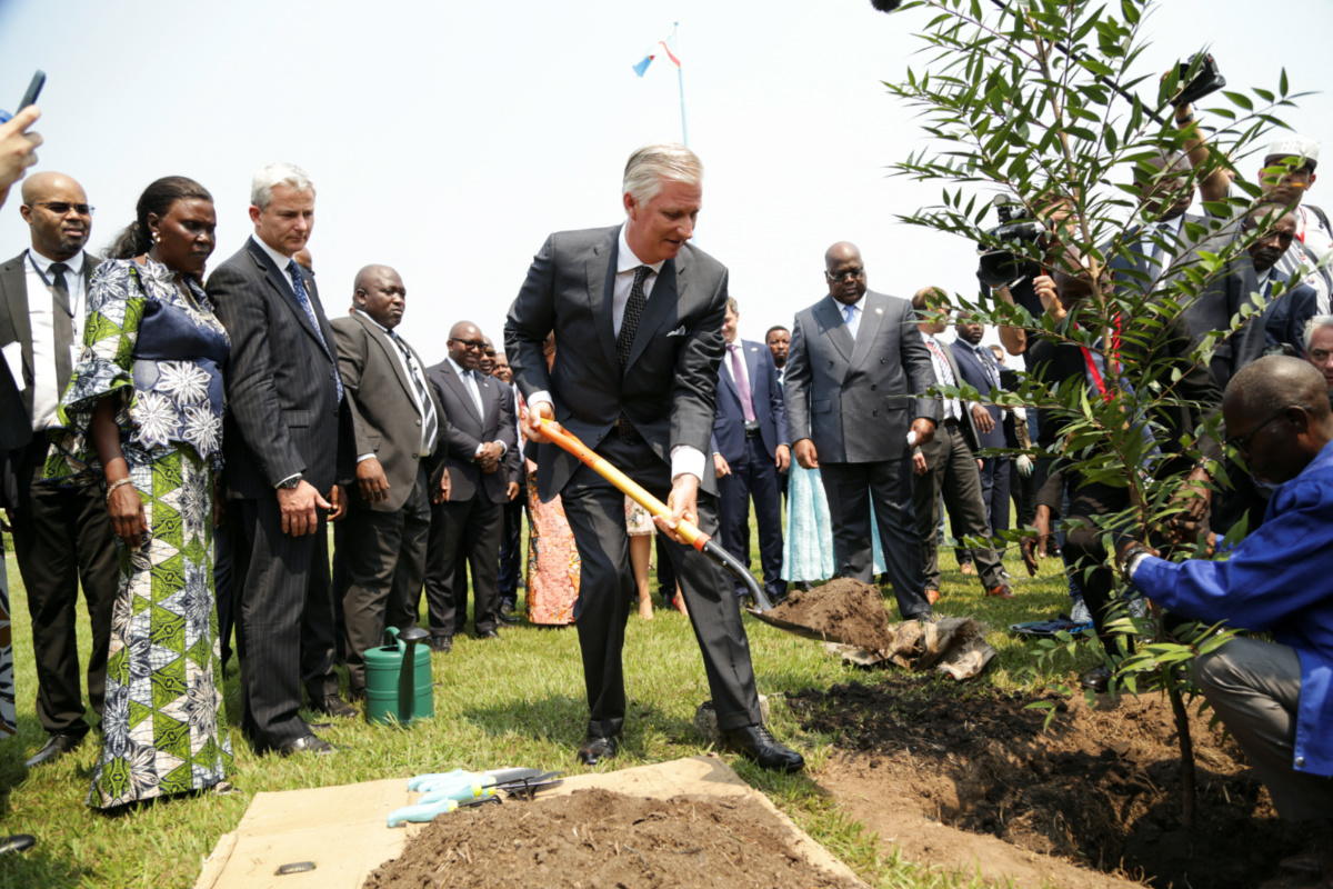 DRC Belgiums King Philippe tree planting