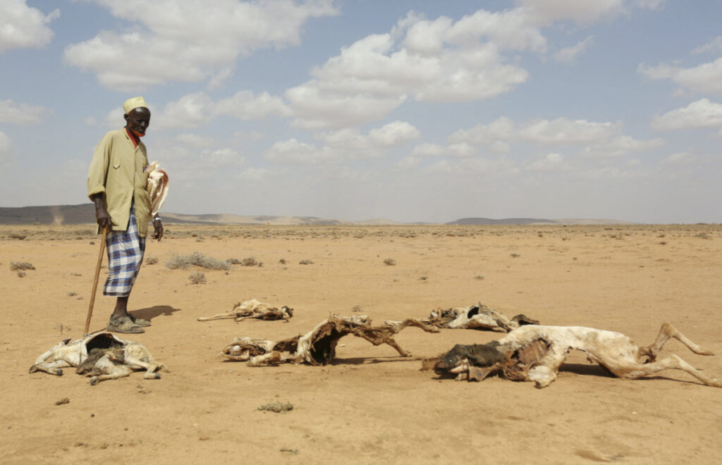 Somalia Somaliland drought
