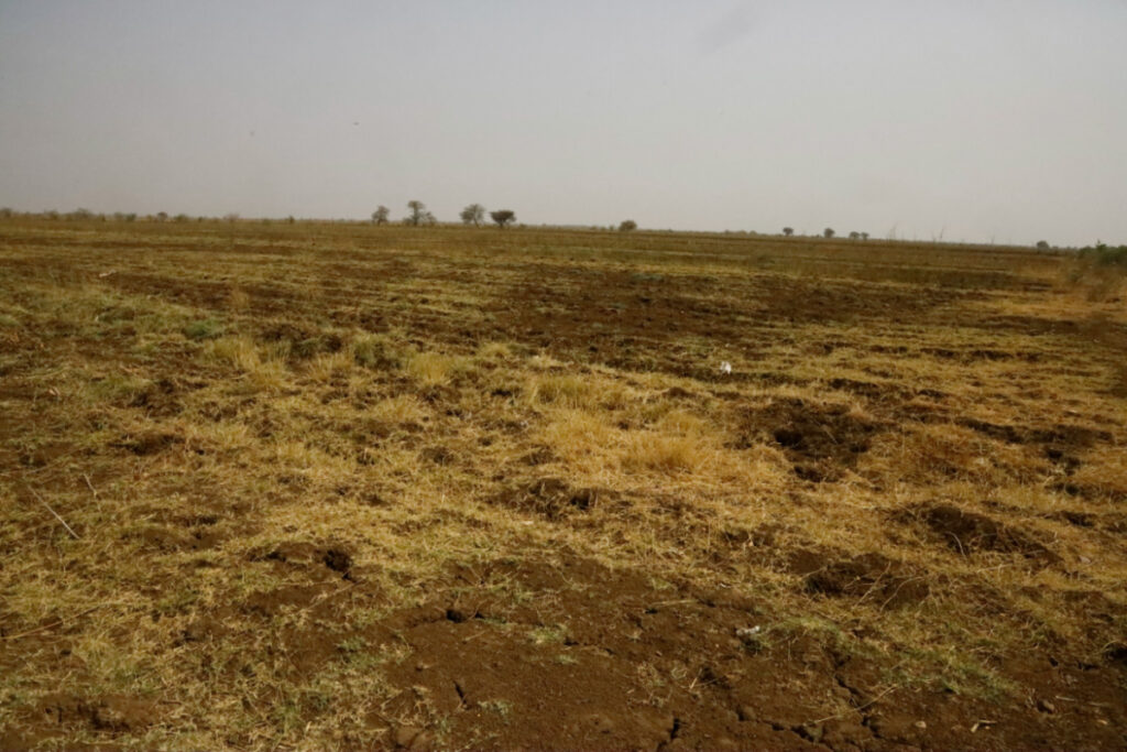 Sudan farmland