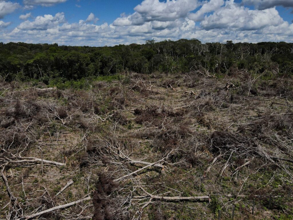 Brazil Amazon deforestatuion