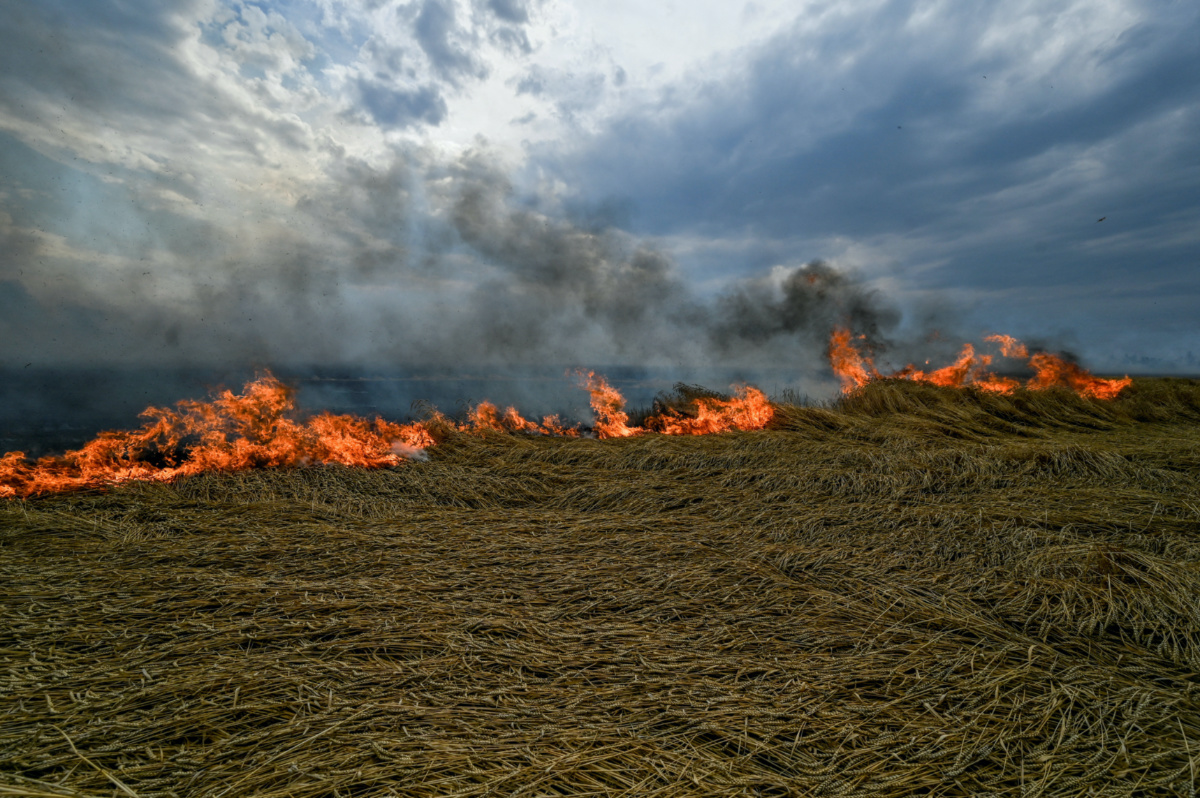 Ukraine burning wheat field