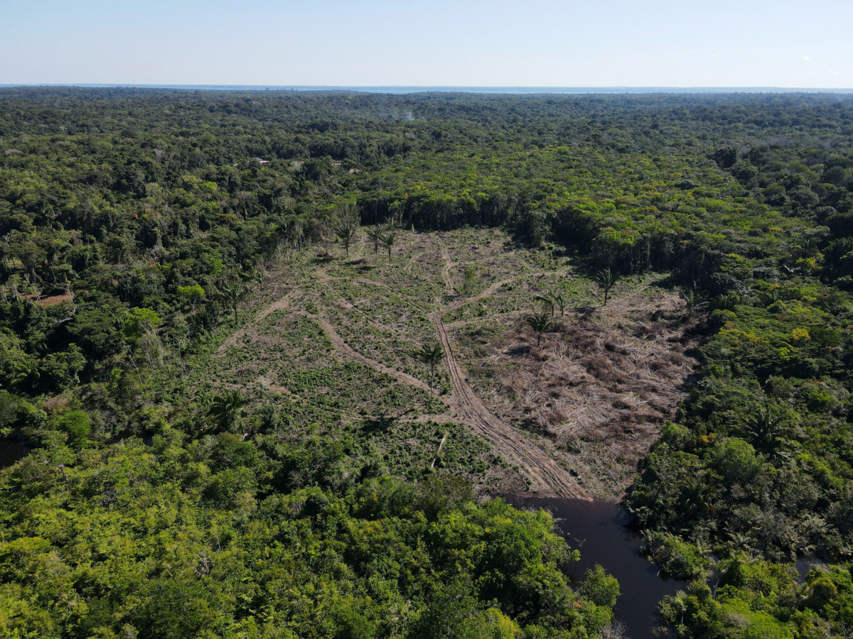 Amazon Manaus deforestation