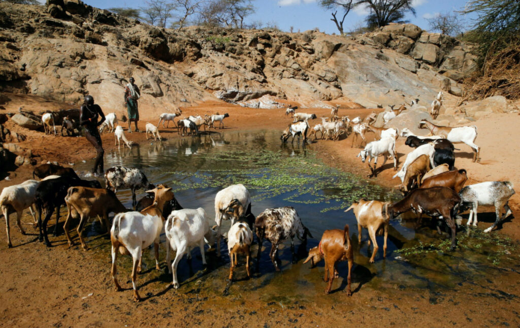 Kenya drought Samburu1