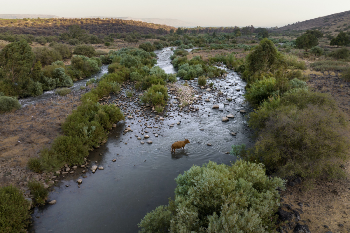 Middle East Jordan River4