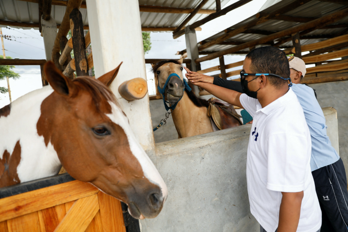 Venezuela equine therapy2