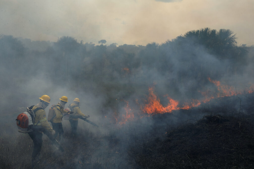 Brazil Amazonas firefighting