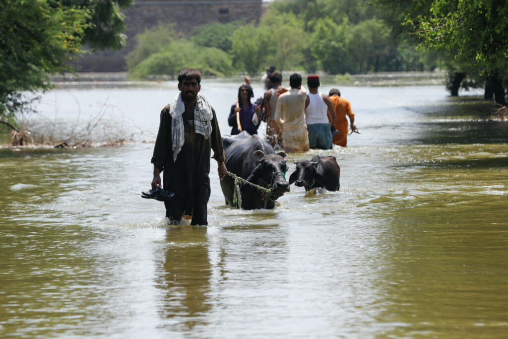 Pakistan Bhan Syedabad floods