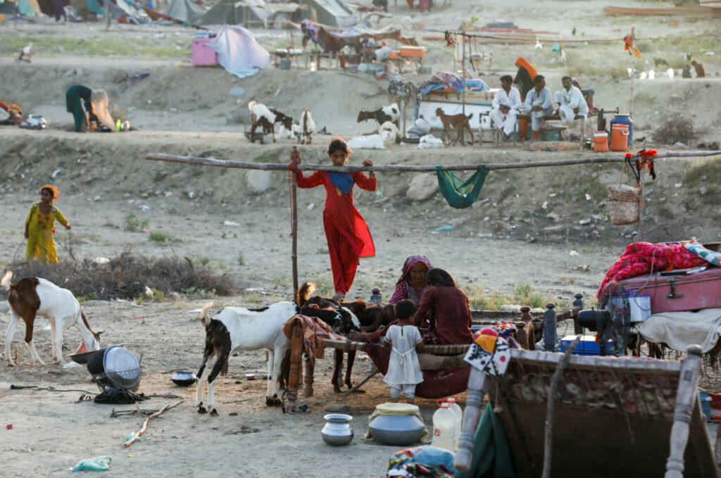 Pakistan Sehwan displaced people