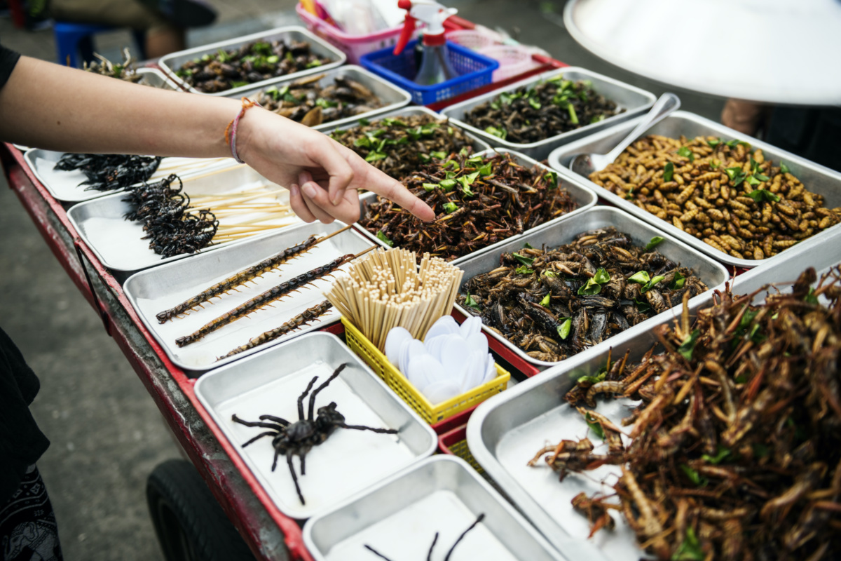 Thailand street food insects