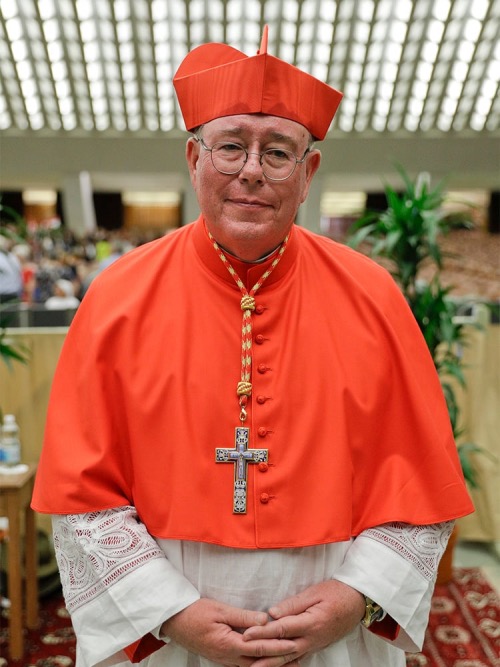 Vatican Cardinal Jean Claude Hollerich