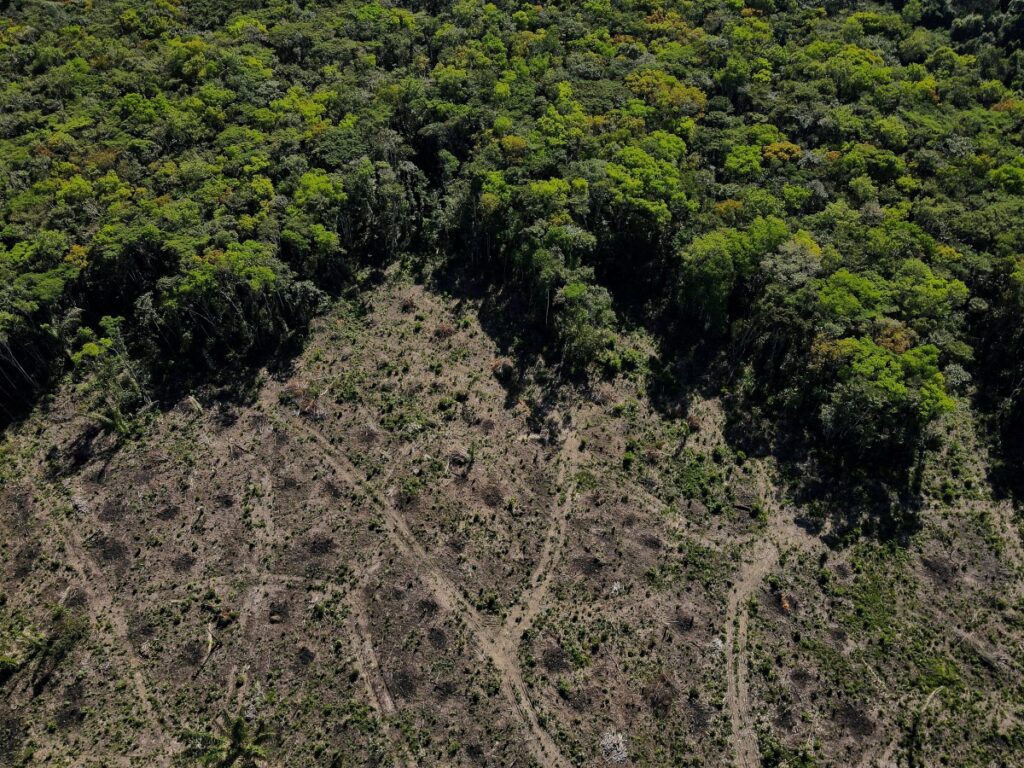 Brazil Manaus Amazon deforestation