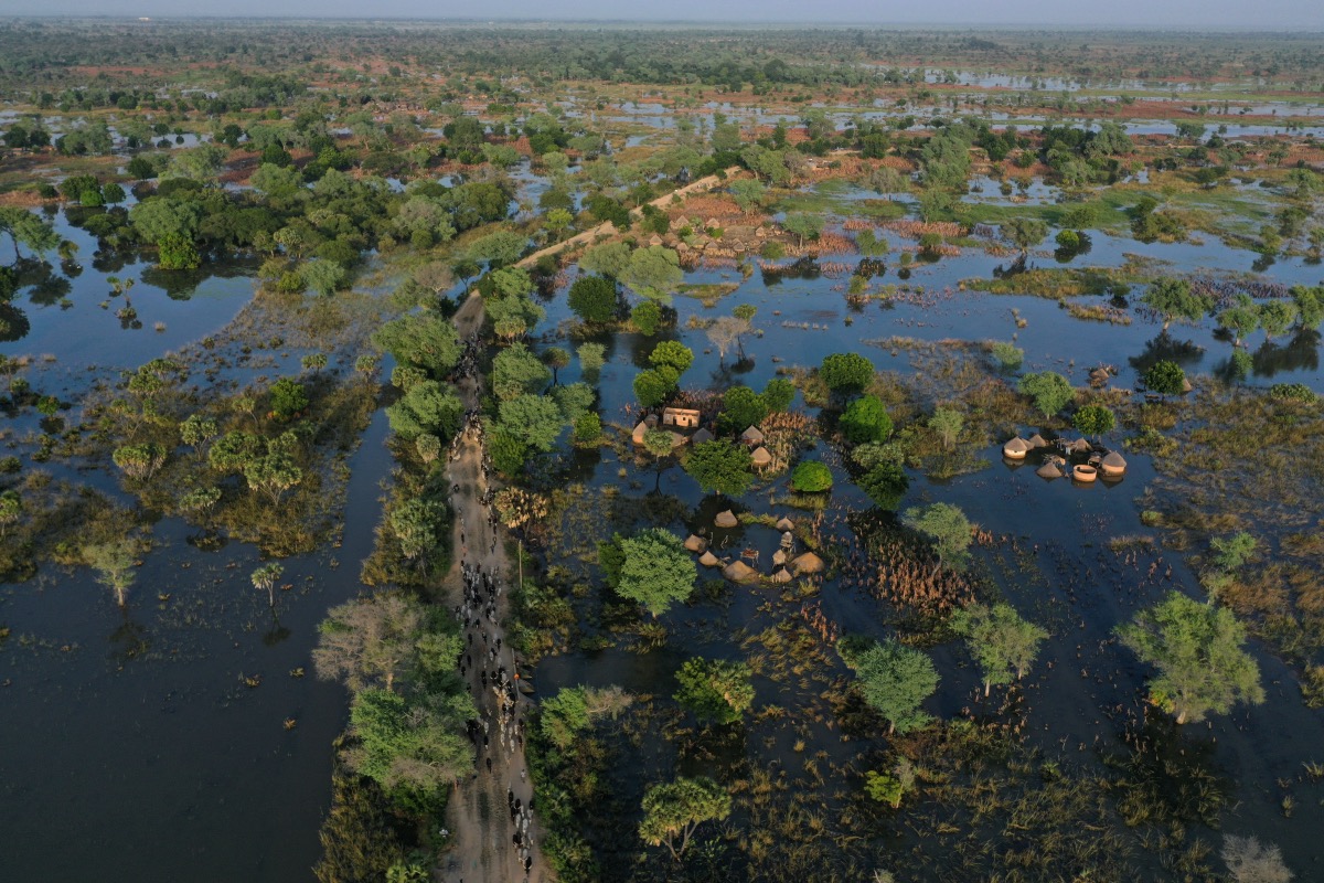 Cameroon Dana flooded field