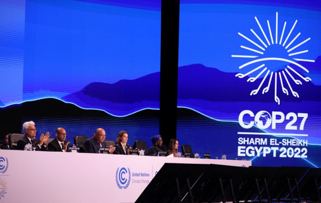 Egypt COP27 ministers
