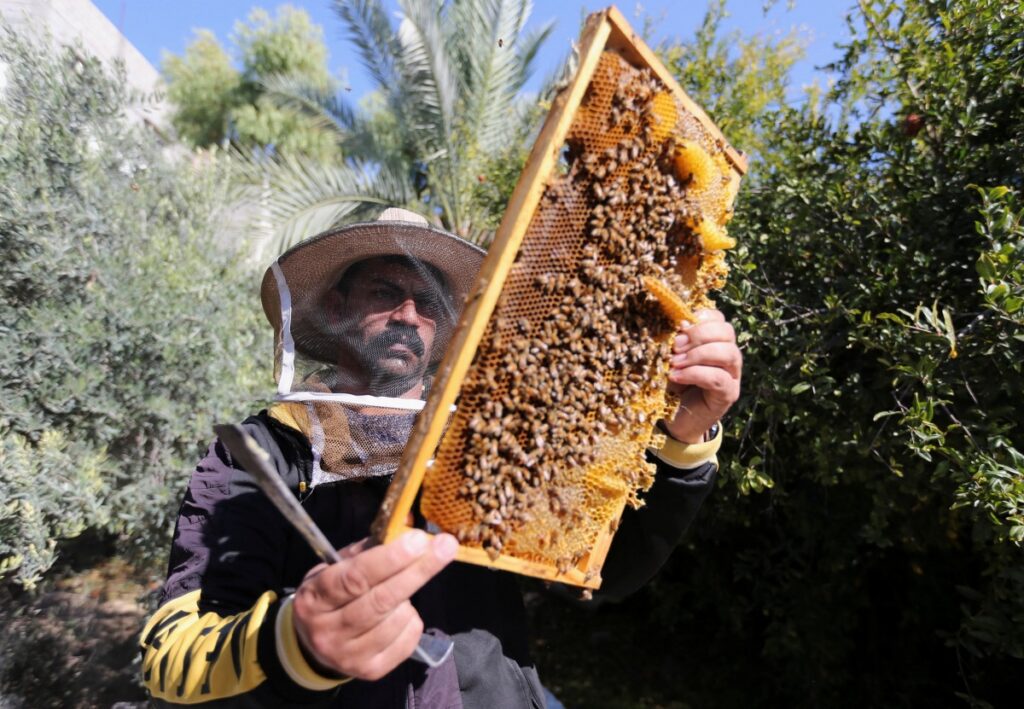 Gaza beekeepers1
