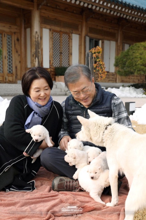 South Korea South Korean President Moon Jae in and first lady Kim Jung sook with dogs