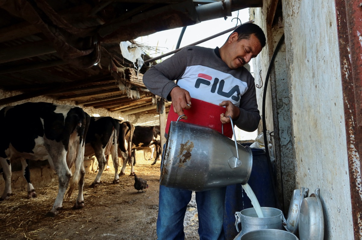 Tunisia dairy farmers2