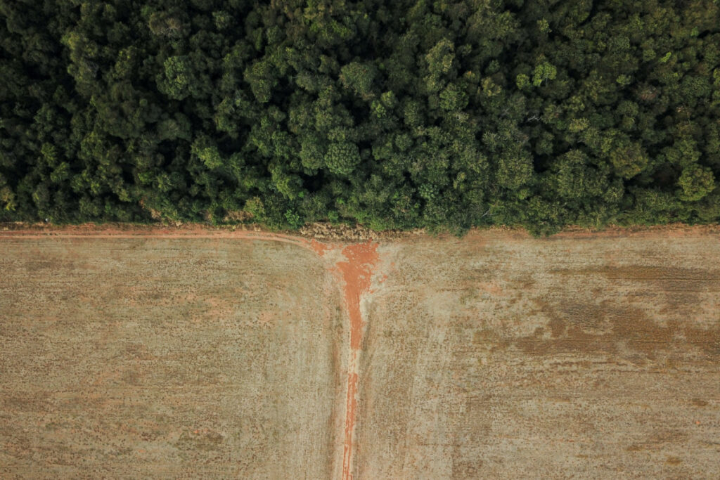 Brazil Mato Grosso deforestation