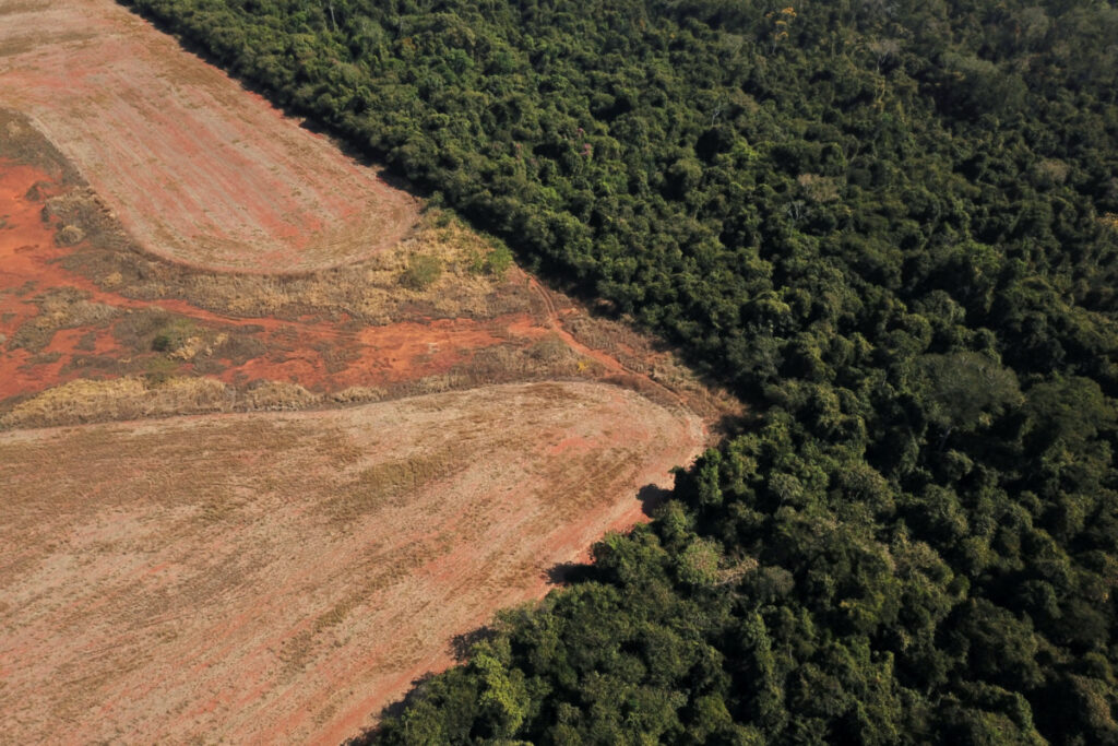 Brazil Nova Xavantina deforestation