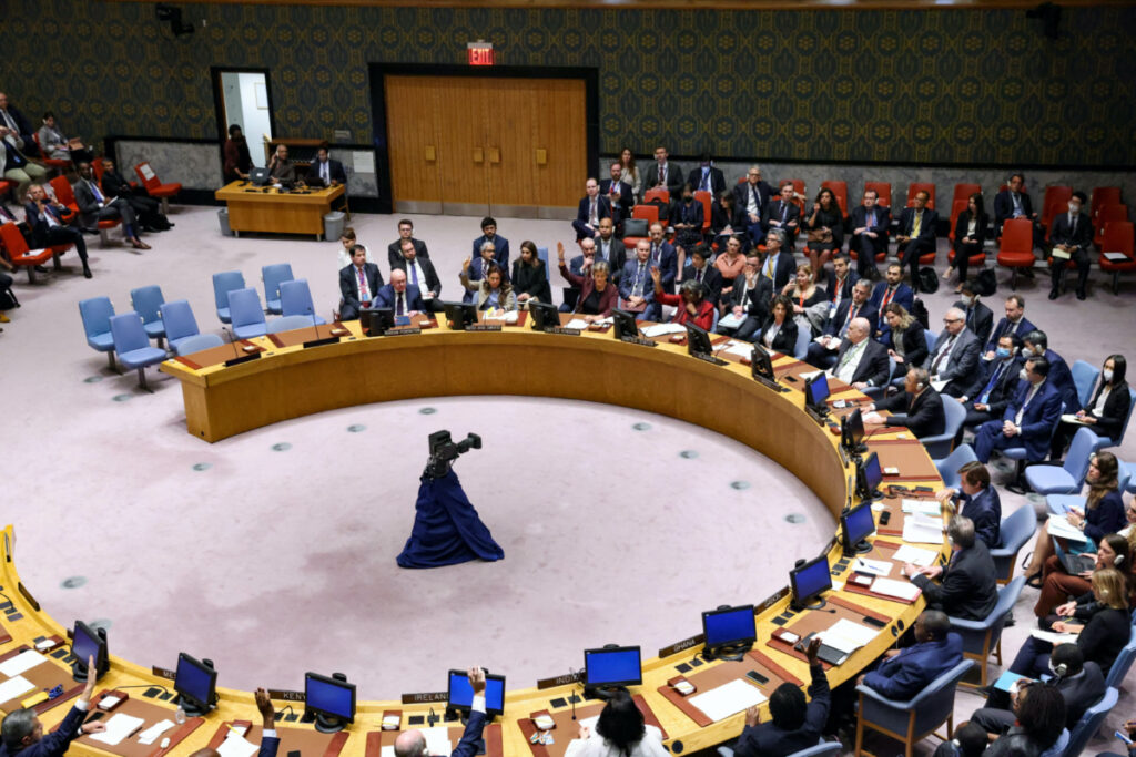 UN Security Council Ukraine vote