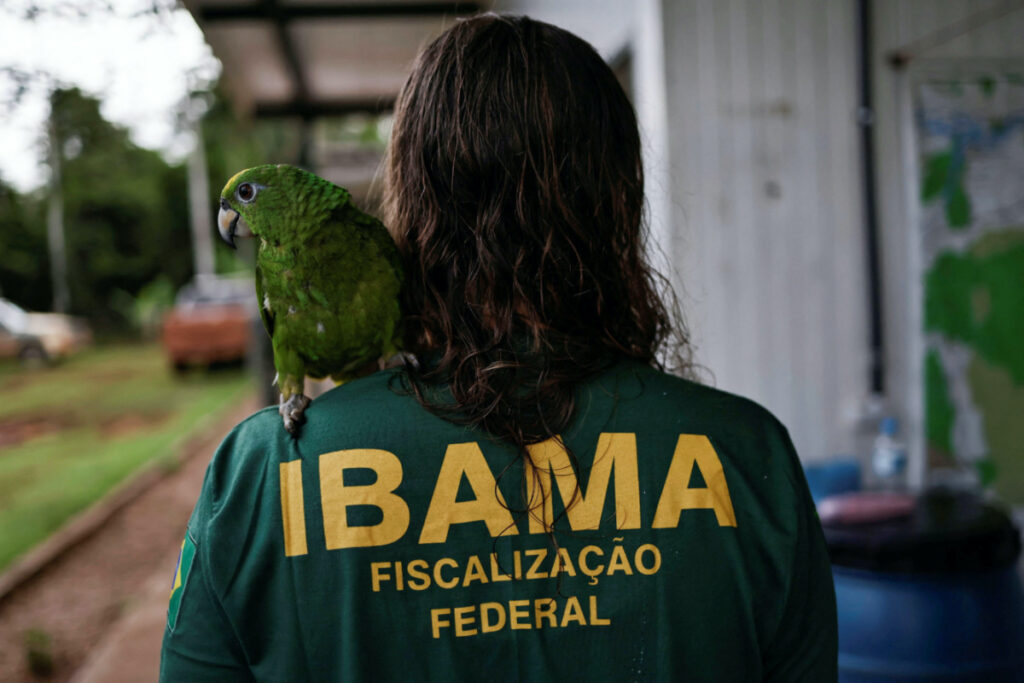 Brazil Ibama agents1