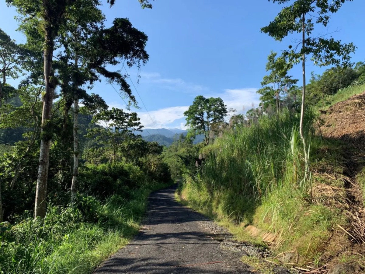 Camino de Costa Rica2