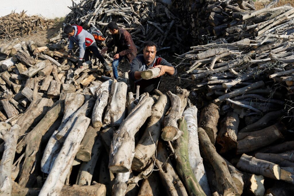 Gaza firewood1