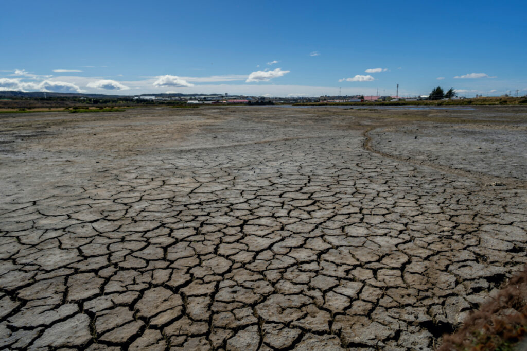 A view of parched earth as a wetland is drying up, in Punta Arenas, Chile February 2, 2023.
