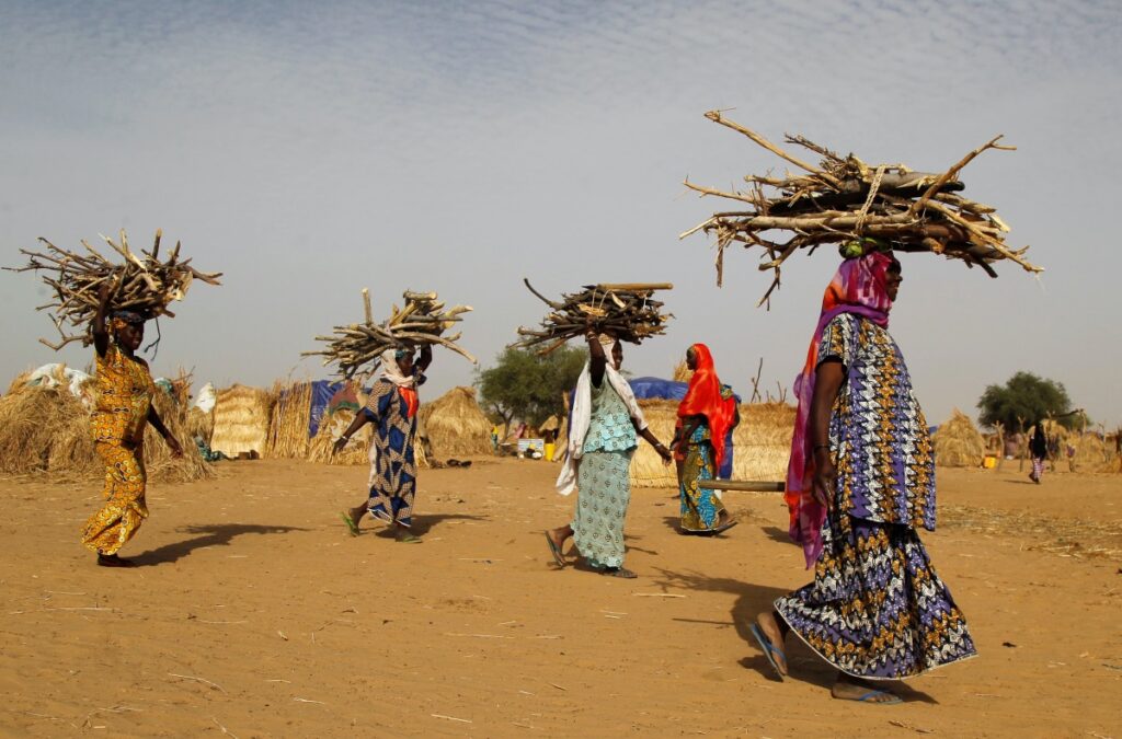 Women carry fire wood at the Boudouri site for displaced persons outside the town of Diffa in southeastern Niger June 21, 2016. REUTERS/Luc Gnago