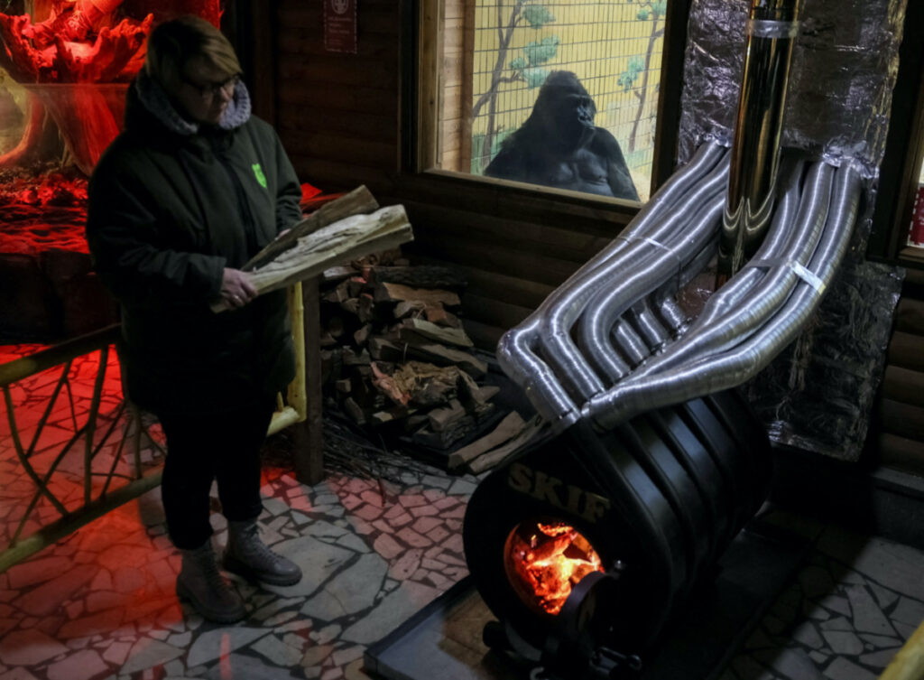 Ukraine Kyiv Zoo Tony the Gorilla1