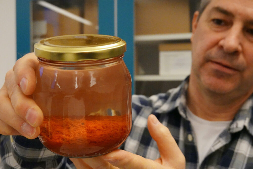 Researcher Brendan Foley holds up a jar containing saffron preserved in water, part of a cache of unusually well preserved spices and foodstuffs found on the wreck of the Gribshunden, in his laboratory in Lund University, Denmark, March 2, 2023.