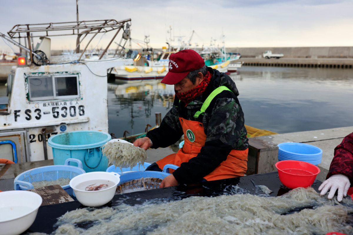 Fisherman Haruo Ono, 71, washes noodle fish to be sold later on, at Tsurishihama fishing port in Shinchimachi, about 55 km away from the disabled Fukushima Dai-ichi nuclear power plant, in Fukushima Prefecture, Japan, March 2, 2023. 