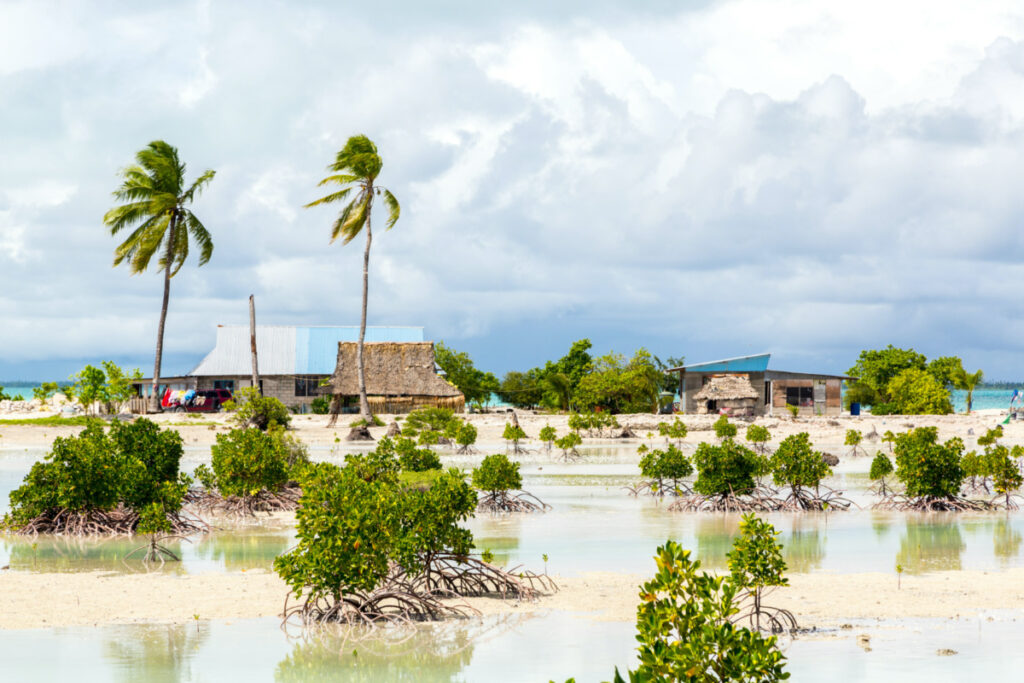 Village on South Tarawa atoll, Kiribati, Gilbert islands, Micronesia, Oceania. Thatched roof houses. Rural life on a sandy beach of remote paradise atoll island under palms and with mangroves around.