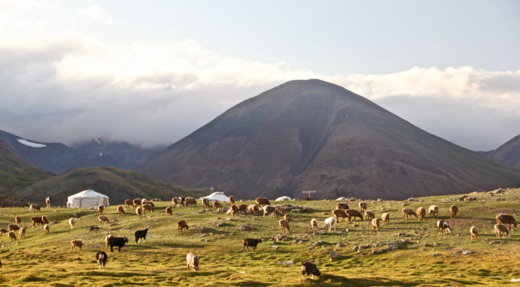Mongolia Altai Mountains