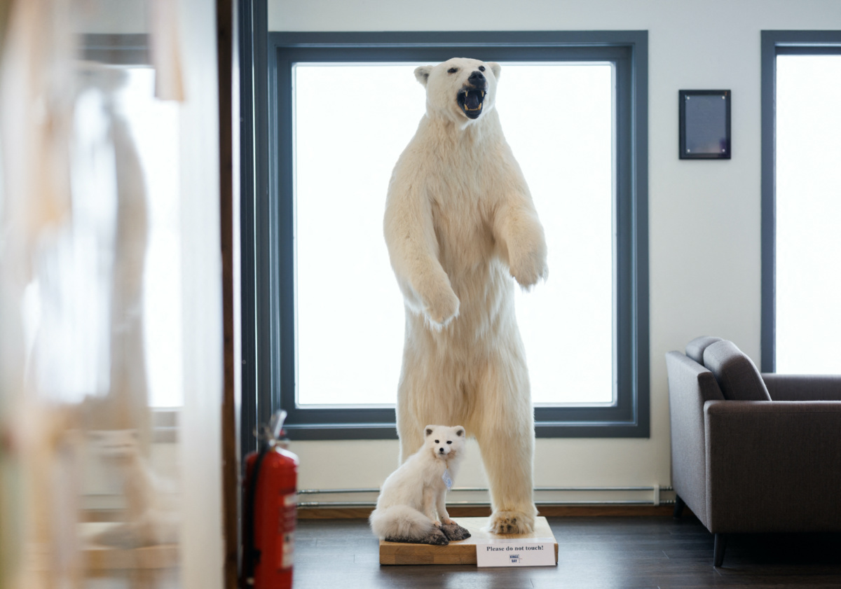 A taxidermied polar bear and Arctic fox are seen at the Kings Bay AS service building and canteen in Ny-Aalesund, Svalbard, Norway, on 10th April 2023
