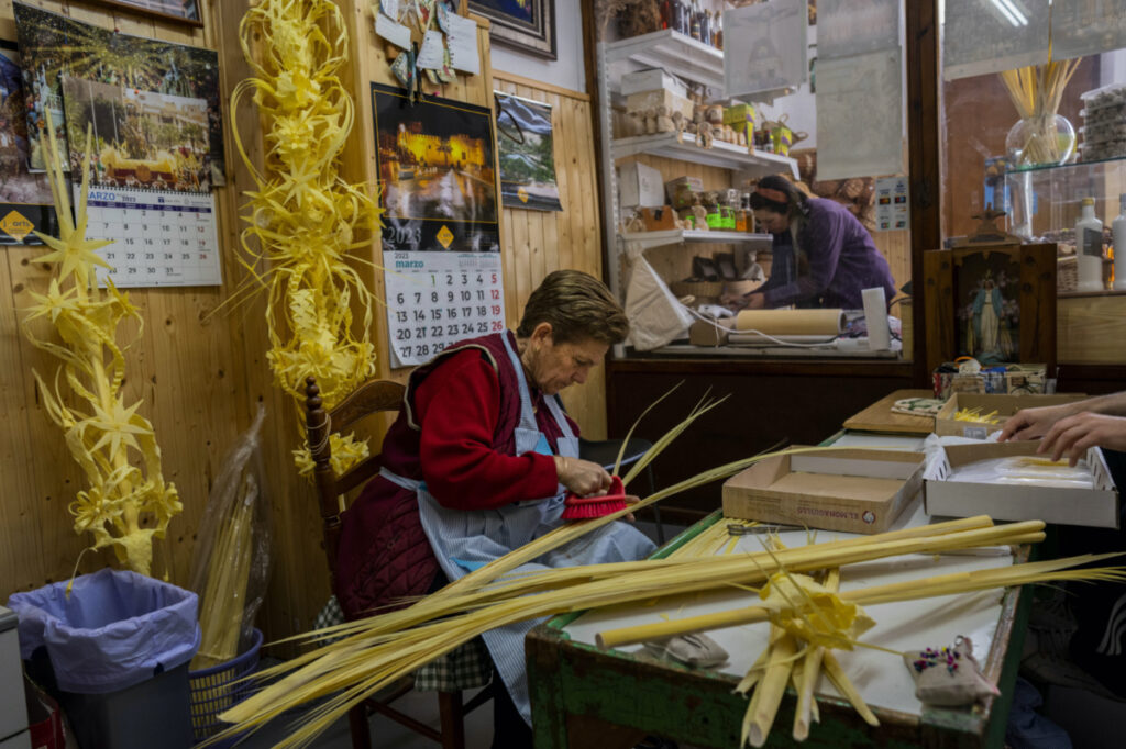 Mari Carmen Perez brushes palms to be used during Palm Sunday processions at a shop in Elche, eastern Spain, Tuesday, on 21st March, 2023.