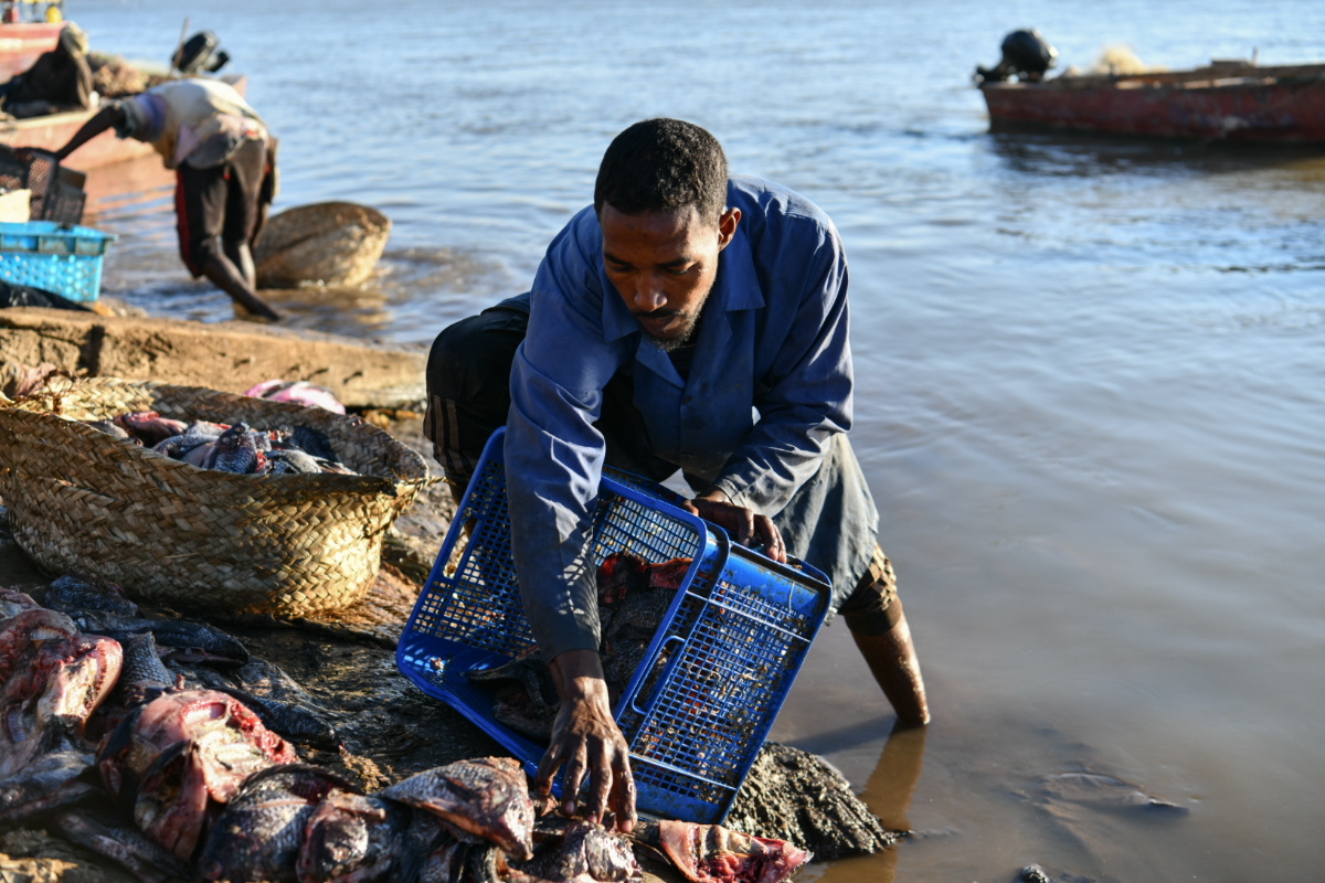 A Sudanese fisherman arranges the day’s catches by the Nile River bank in Omdurman, Sudan, in the early hours of the morning on 7th January, 2023.